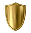 Money Minder Shield